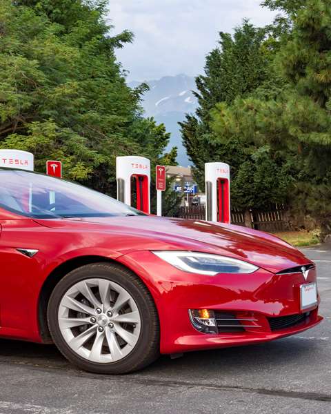  - Best Western Plus Tree House Inn Mt Shasta - I-5, Exit 738