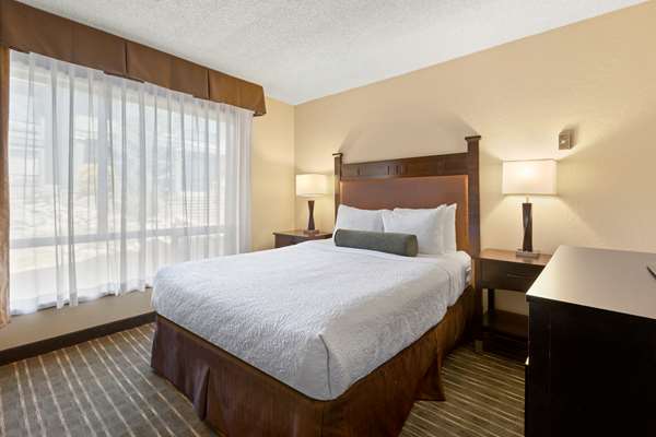  - Best Western Plus Tree House Inn Mt Shasta - I-5, Exit 738
