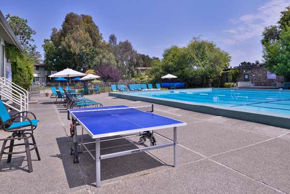 Pool - Best Western Corte Madera Inn