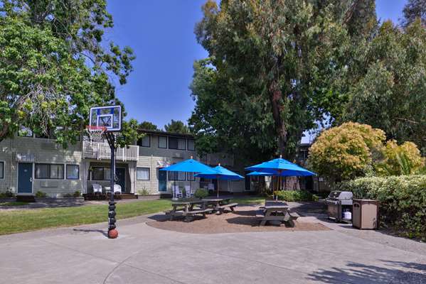Recreation - Best Western Corte Madera Inn