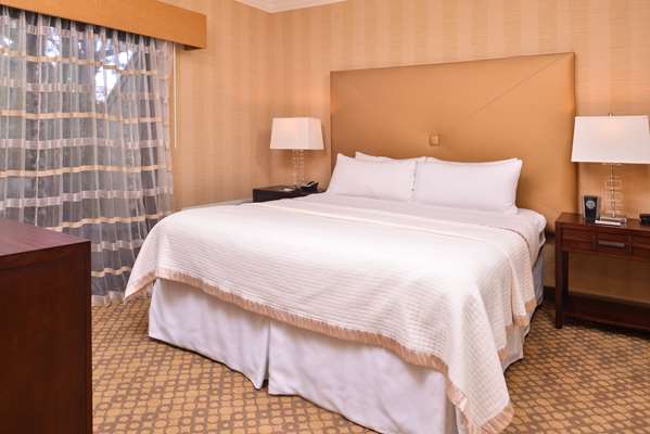 Suite - Best Western Corte Madera Inn