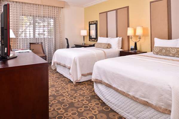 Suite - Best Western Corte Madera Inn