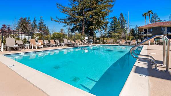 Pool - Best Western Sonoma Winegrower's Inn - US 101, Exit 483