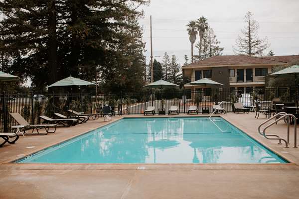 Pool - Best Western Sonoma Winegrower's Inn - US 101, Exit 483