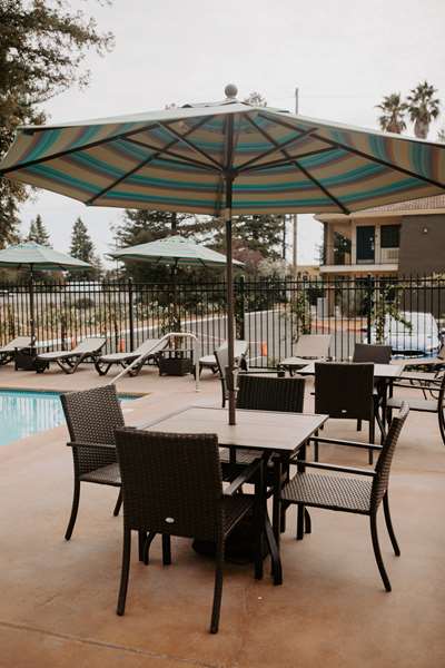 Pool - Best Western Sonoma Winegrower's Inn - US 101, Exit 483