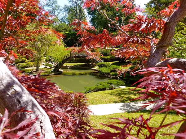  - Best Western Pasadena Inn - I-210, Exit 30