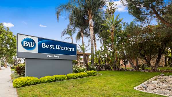 Exterior view - Best Western Pine Tree Motel Chino
