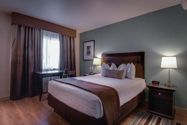  - Best Western Plus Inn of Ventura - US 101, Exit 70