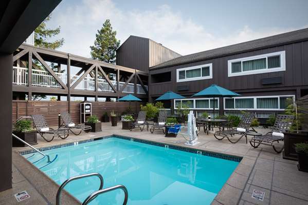 Pool - Best Western Plus Inn at Vines Napa