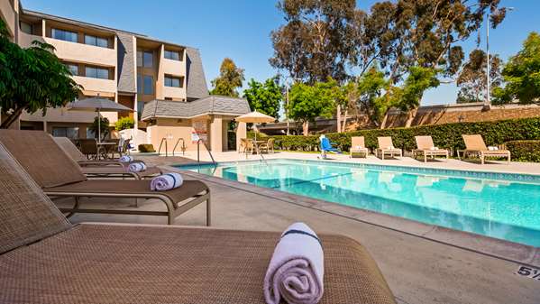 Pool - Best Western Plus West Covina Inn - I-10, Exit 37B