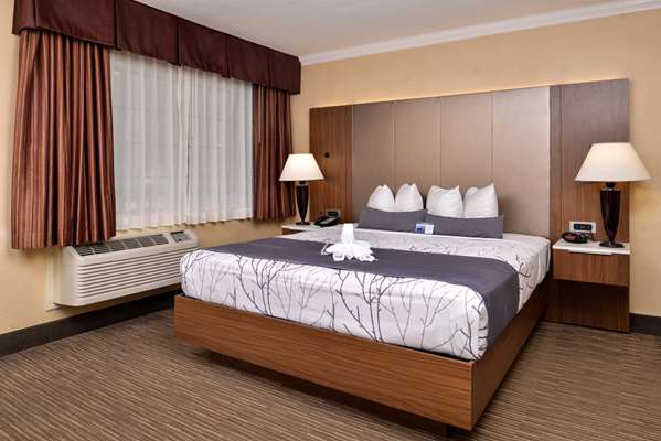  - Best Western Hollywood Plaza Inn