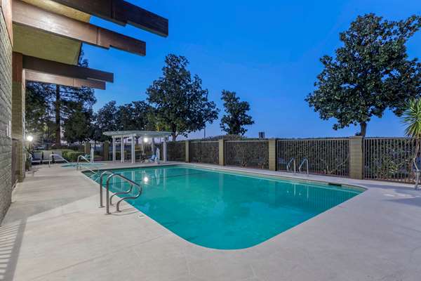 Pool - Best Western Orchard Inn Turlock - CA 99, Exit 217