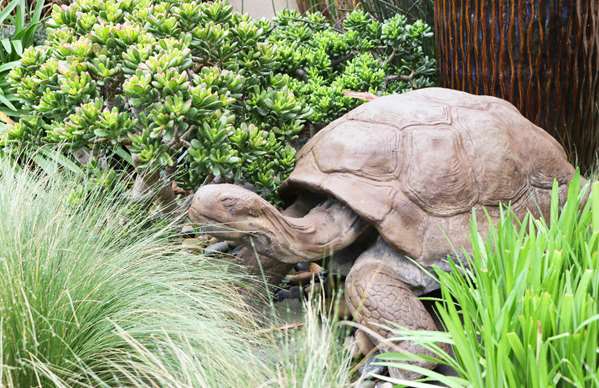 Exterior view - Best Western Plus South Coast Inn Goleta