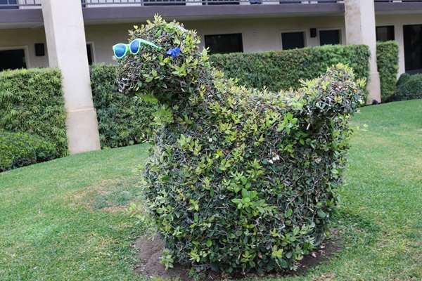 Exterior view - Best Western Plus South Coast Inn Goleta