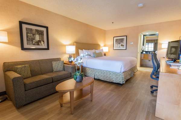  - Best Western Plus Las Brisas Hotel Palm Springs