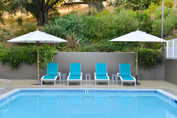 Pool - Best Western Plus Novato Oaks Inn - US 101, Exit 458