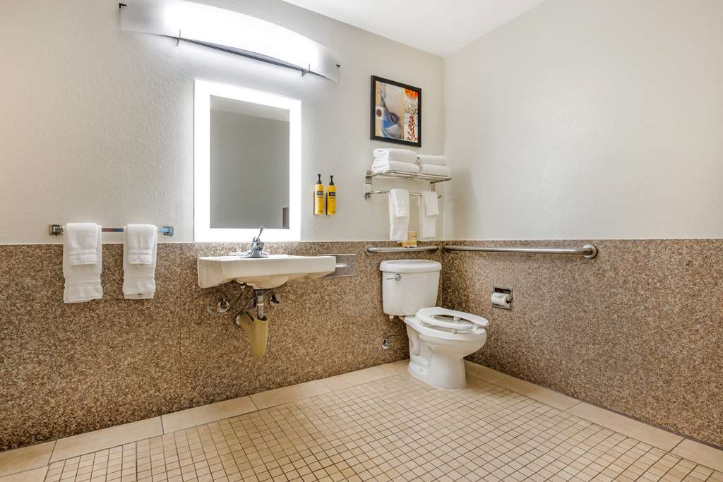 Best Western Plus Orange County Airport North, photo 5
