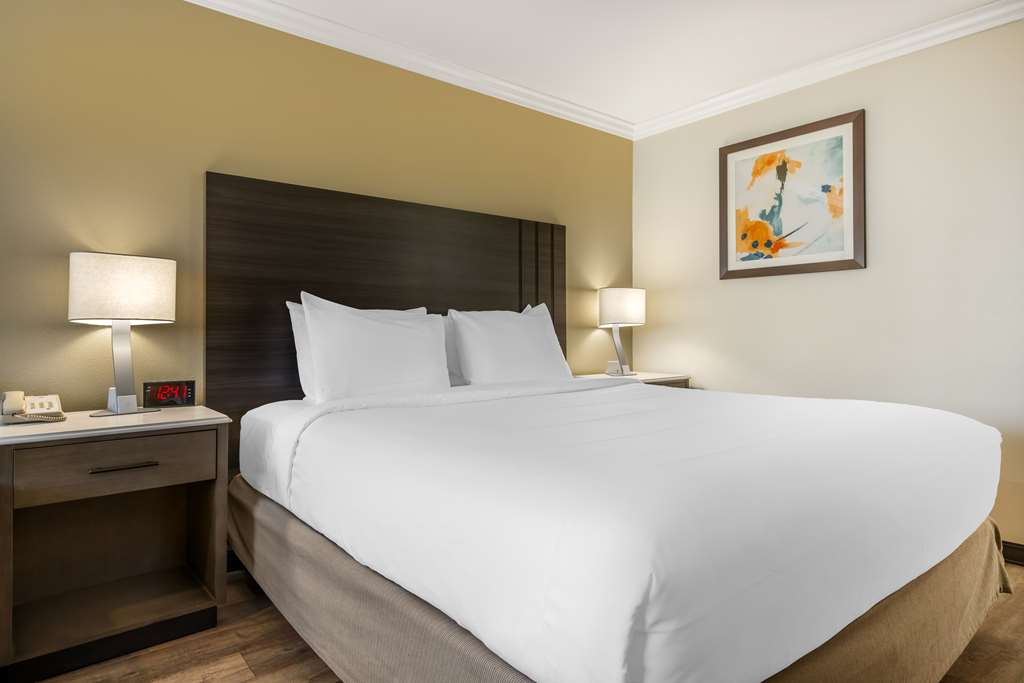 Best Western Plus Orange County Airport North, photo 3