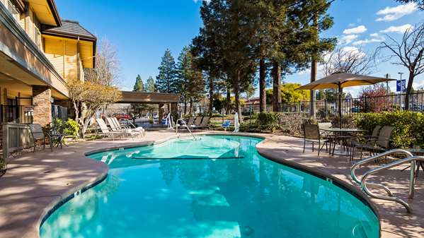 Pool - Best Western John Muir Inn Martinez - CA 4, Exit 10