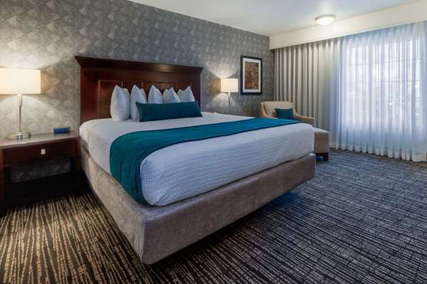 Suite - Best Western Plus Carriage Inn Sherman Oaks - I-405, Exit 64