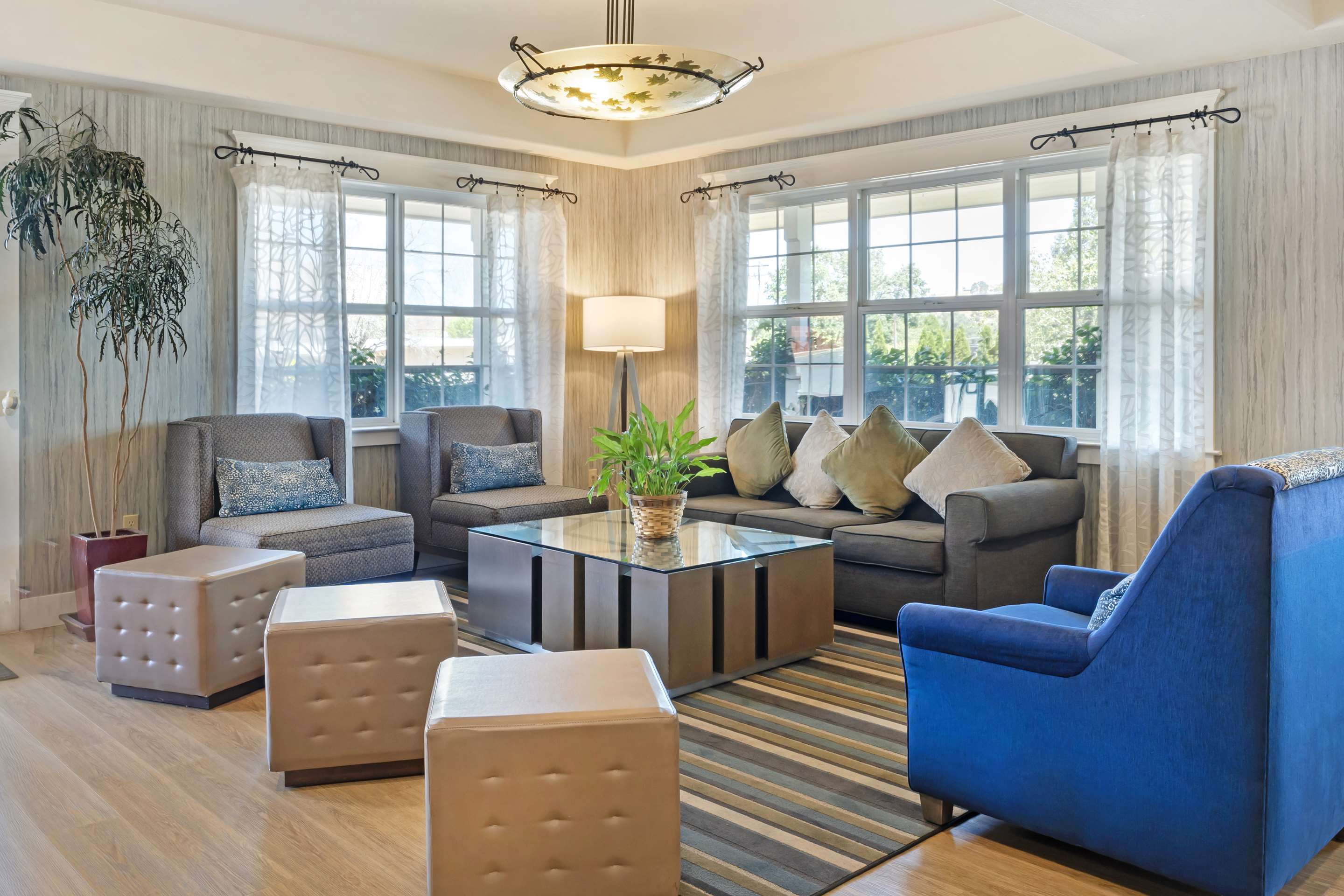 Lobby | Best Western Cedar Inn & Suites