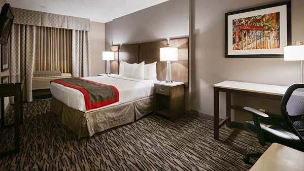 Suite - Best Western Los Alamitos Inn & Suites