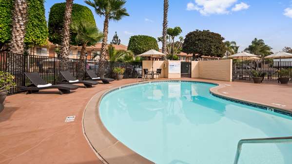 Pool - Best Western Americana Inn San Ysidro - I-5, Exit 2