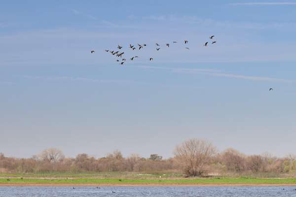 Recreation - Best Western Inn & Suites Lodi - I-5, Exit 485