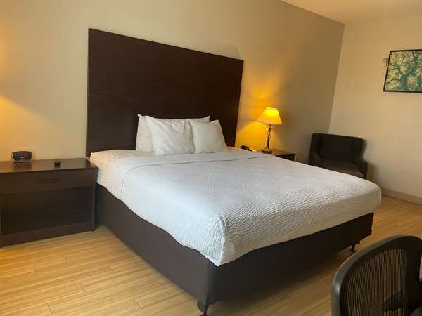  - Best Western Inn & Suites Lodi - I-5, Exit 485