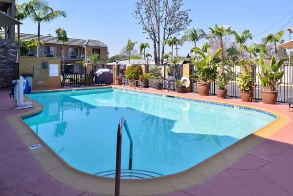 Pool - Best Western Palm Garden Inn Westminster