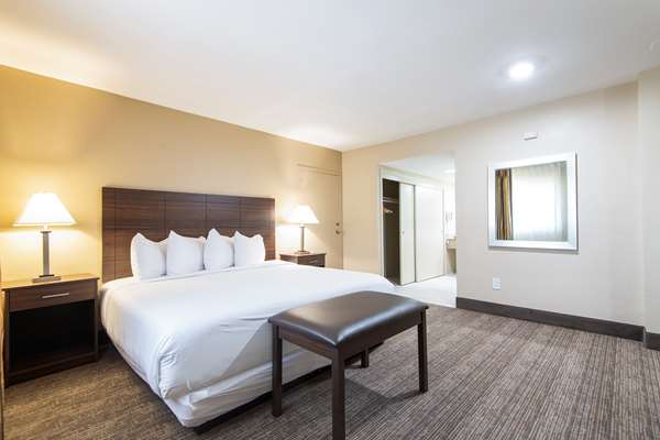 Suite - Best Western Oceanside Inn - I-5, Exit 52