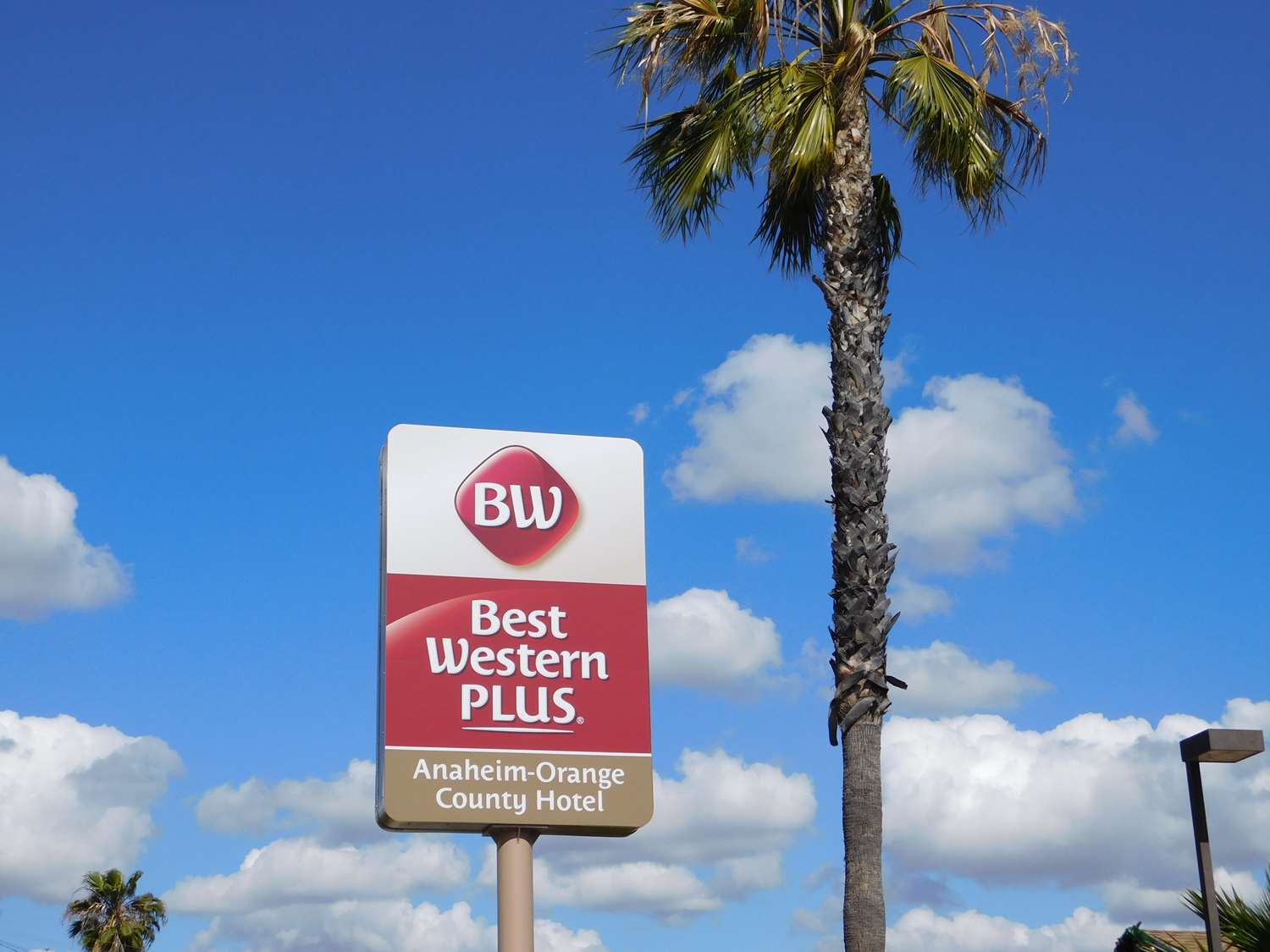 Best Western Plus Anaheim Orange County Hotel Placentia, CA See Discounts