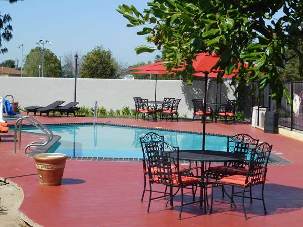 Pool - Best Western Plus Anaheim Orange County Hotel Placentia