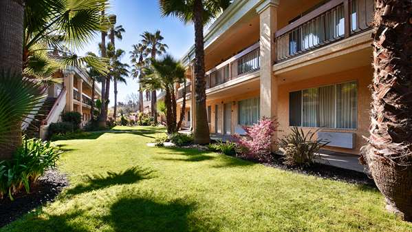 Exterior view - Best Western Palm Court Inn Modesto