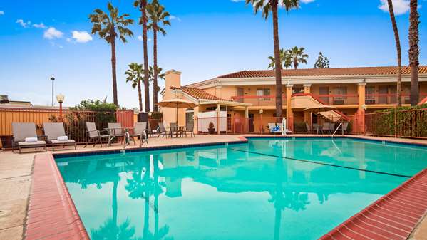 Pool - Best Western Palm Court Inn Modesto