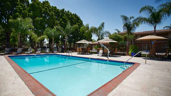 Pool - Best Western Santa Clara University Inn