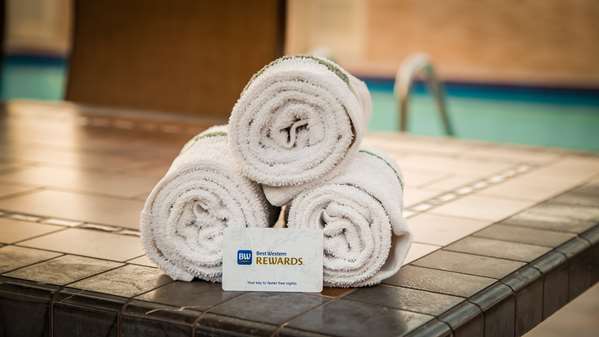 Pool - Best Western Santa Clara University Inn