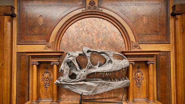  - Best Western Southwest Hotel Lakewood