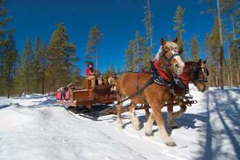  - Best Western Alpenglo Lodge Winter Park