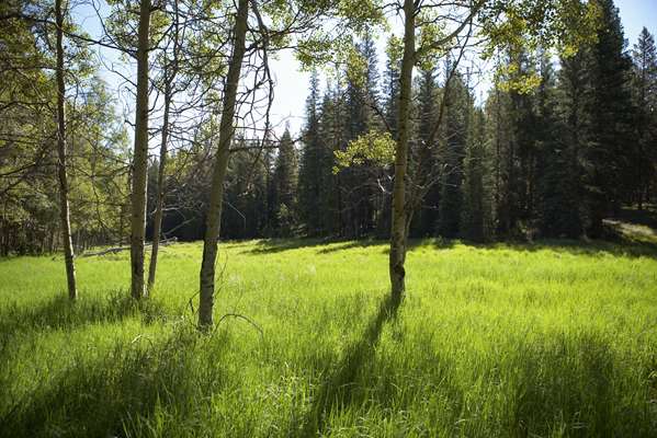  - Best Western Alpenglo Lodge Winter Park