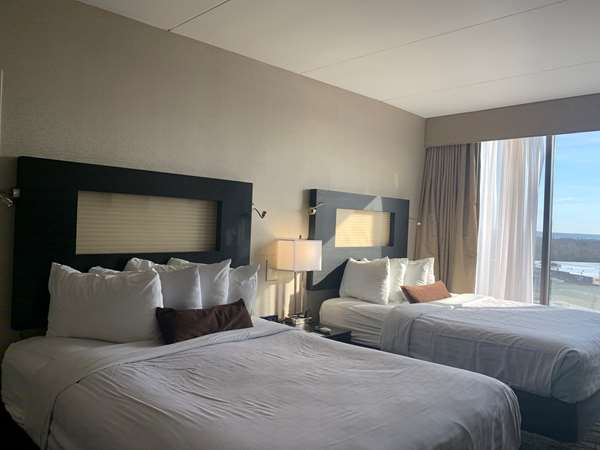 Suite - Best Western Executive Hotel West Haven - I-95, Exit 42