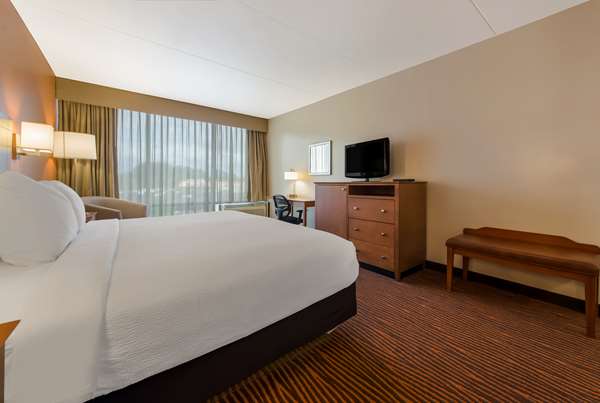 Suite - Best Western Executive Hotel West Haven - I-95, Exit 42