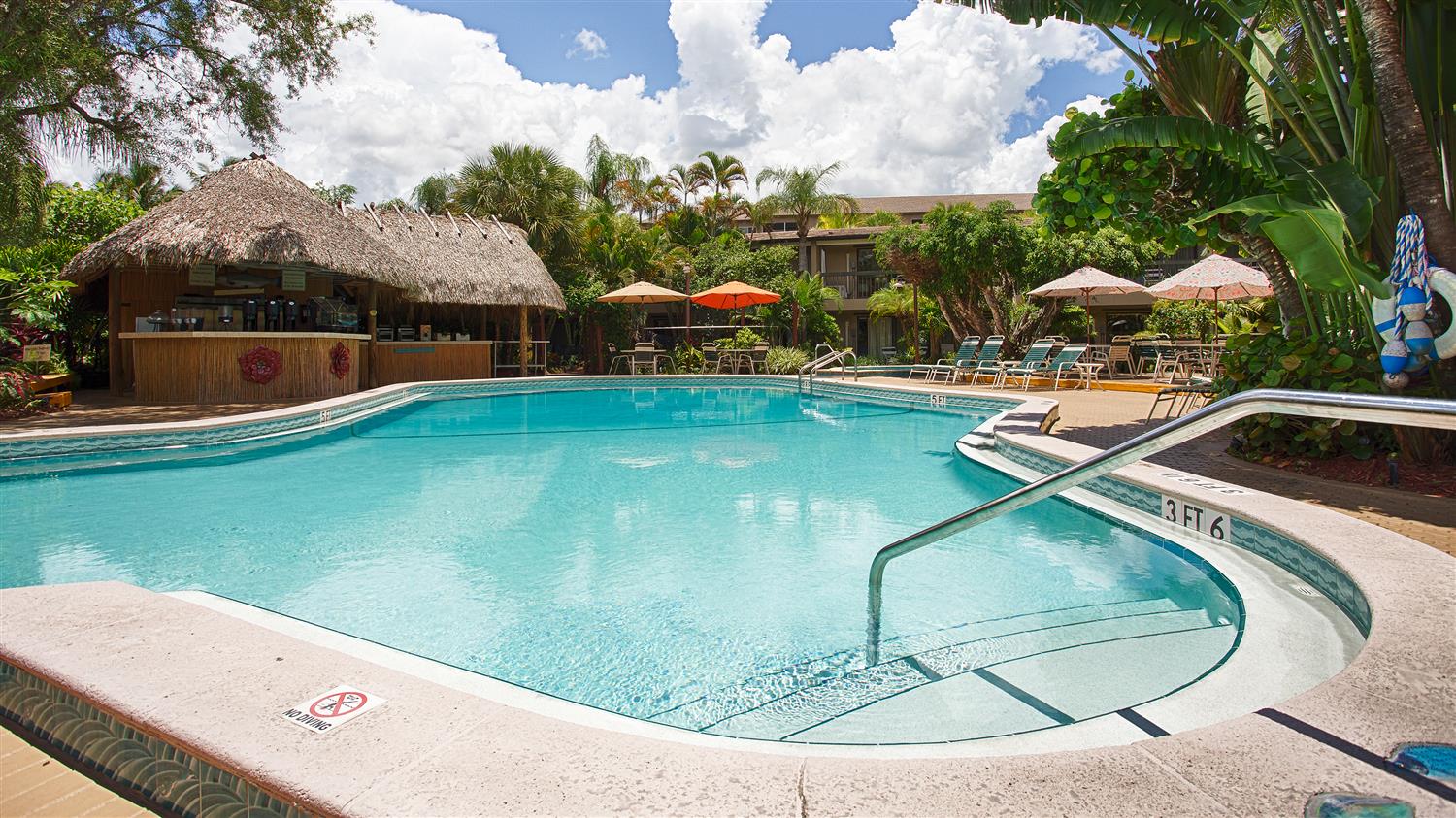 Pet Friendly Beach Hotels Naples Fl Pet Friendly Beach Hotels Naples Fl