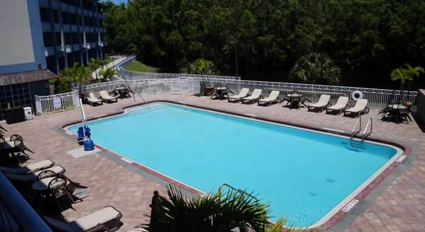 Pool - Best Western Naples Plaza Hotel - I-75, Exit 107