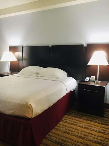  - Best Western Plus Universal Inn Orlando - I-4, Exit 75B