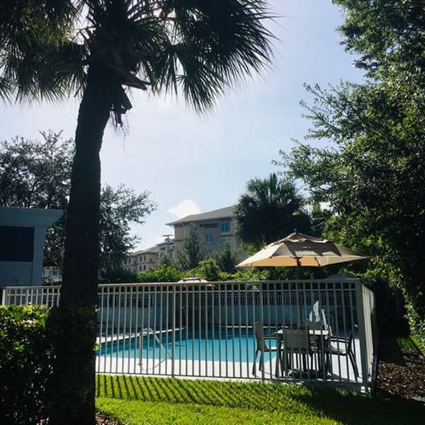 Pool - Best Western Plus Universal Inn Orlando - I-4, Exit 75B
