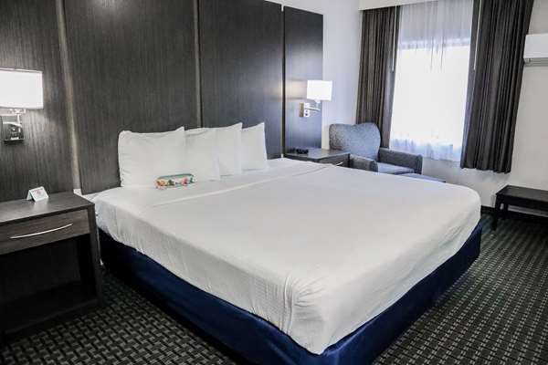  - Best Western Ocala Park Centre Hotel - I-75, Exit 350