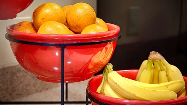 Restaurant - Best Western Airport Inn Fort Myers - I-75, Exit 131