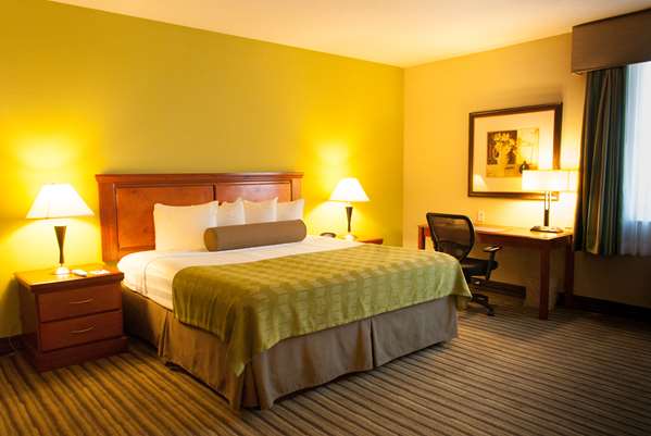  - Best Western Plus Hotel Dolphin Mall Doral