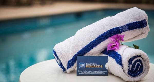 Pool - Best Western Mulberry Hotel